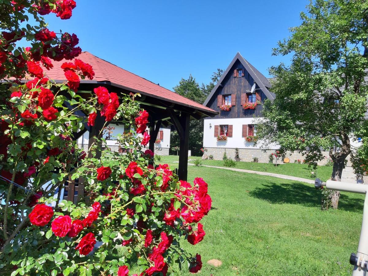 Pansion Breza Hotel Plitvicka Jezera Bagian luar foto
