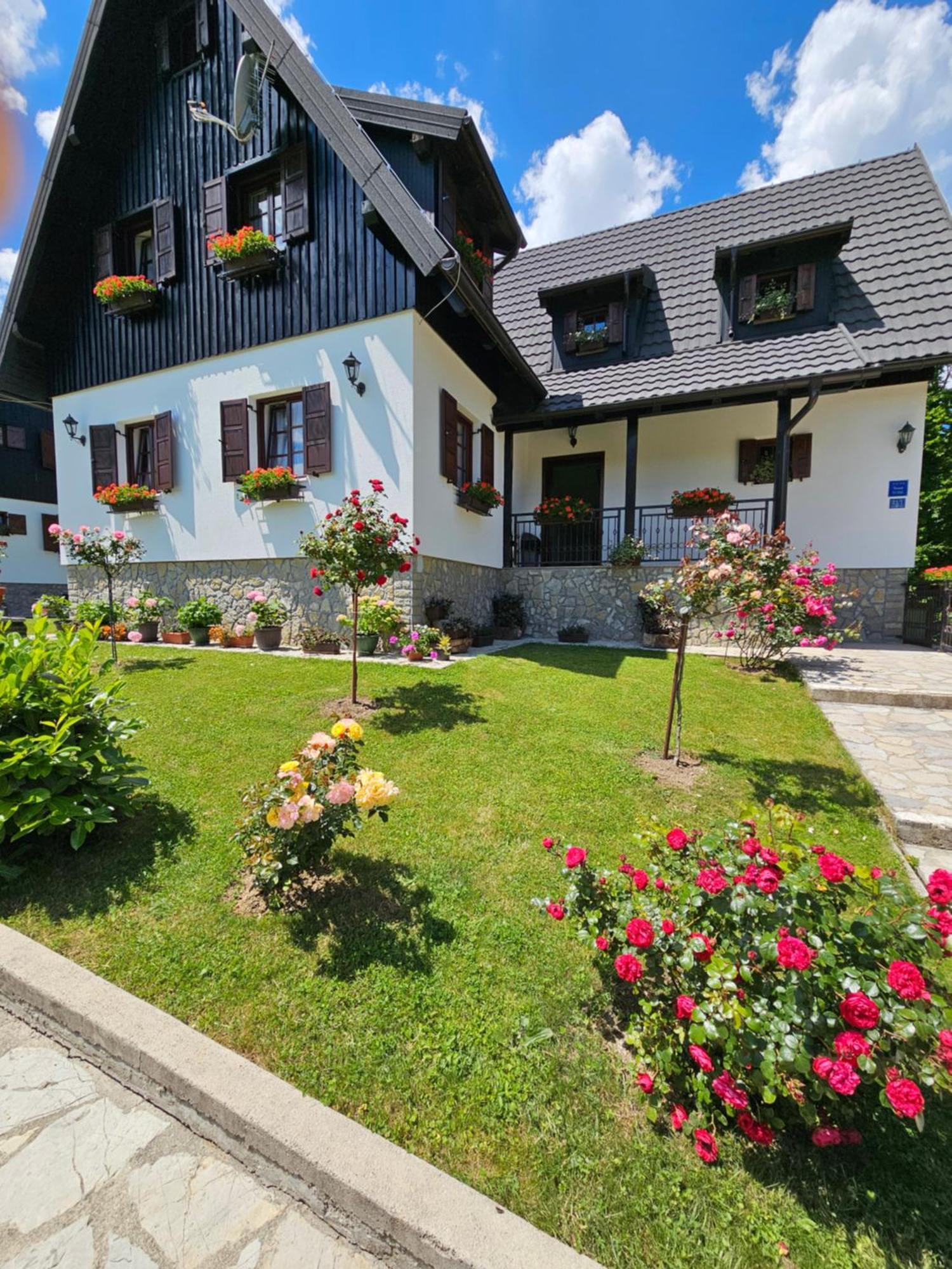Pansion Breza Hotel Plitvicka Jezera Bagian luar foto