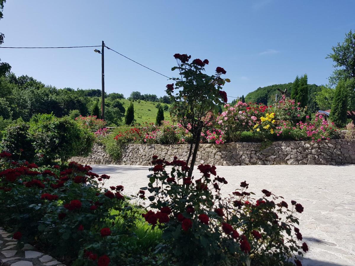 Pansion Breza Hotel Plitvicka Jezera Bagian luar foto