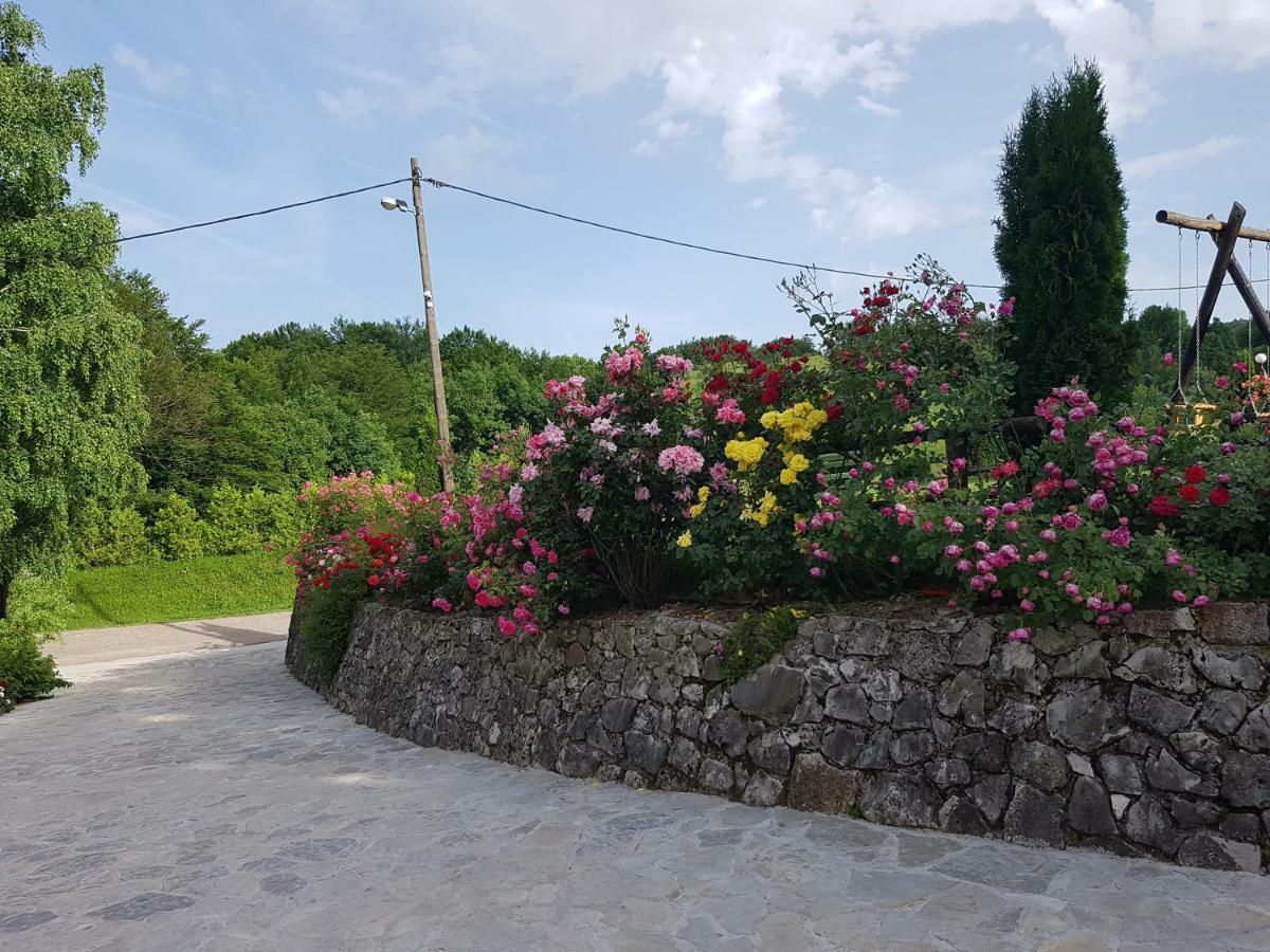 Pansion Breza Hotel Plitvicka Jezera Bagian luar foto