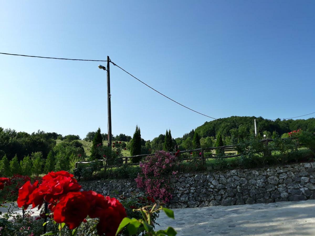 Pansion Breza Hotel Plitvicka Jezera Bagian luar foto